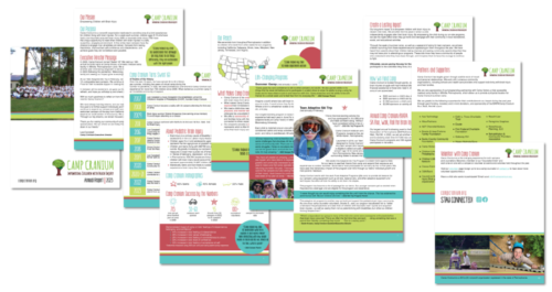 CC annual report