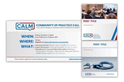CALM portfolioAug2025-1