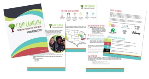 Camp-Cranium-Annual-Report-Portfolio-Image